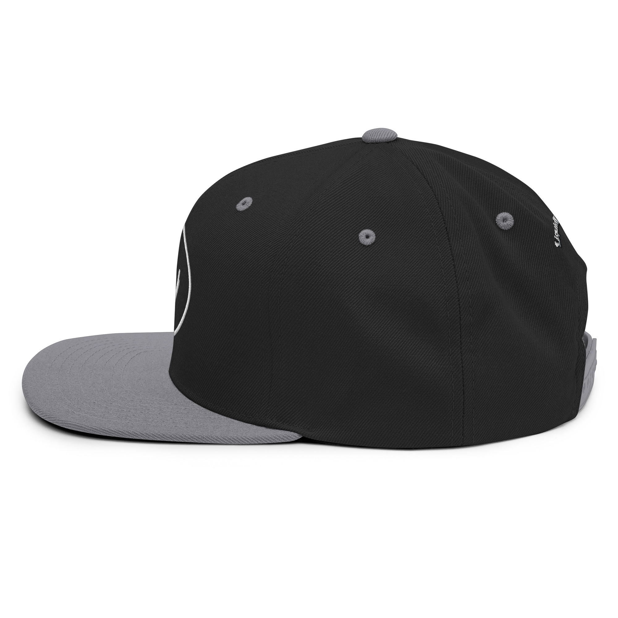 Snapback Hat - Image 44