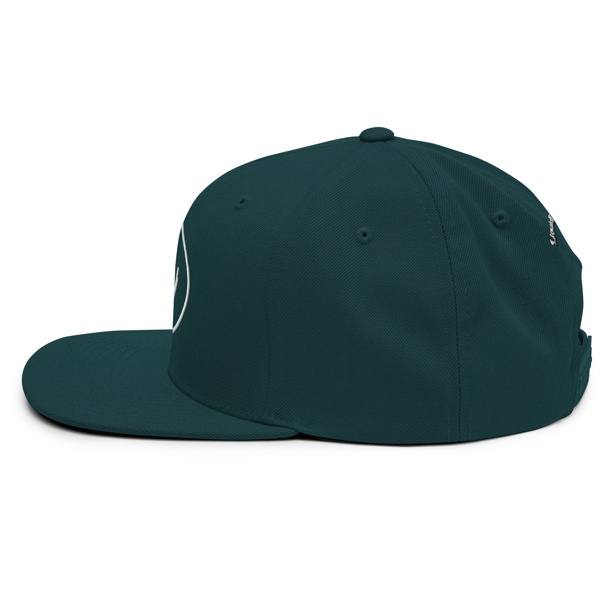 Snapback Hat - Image 49