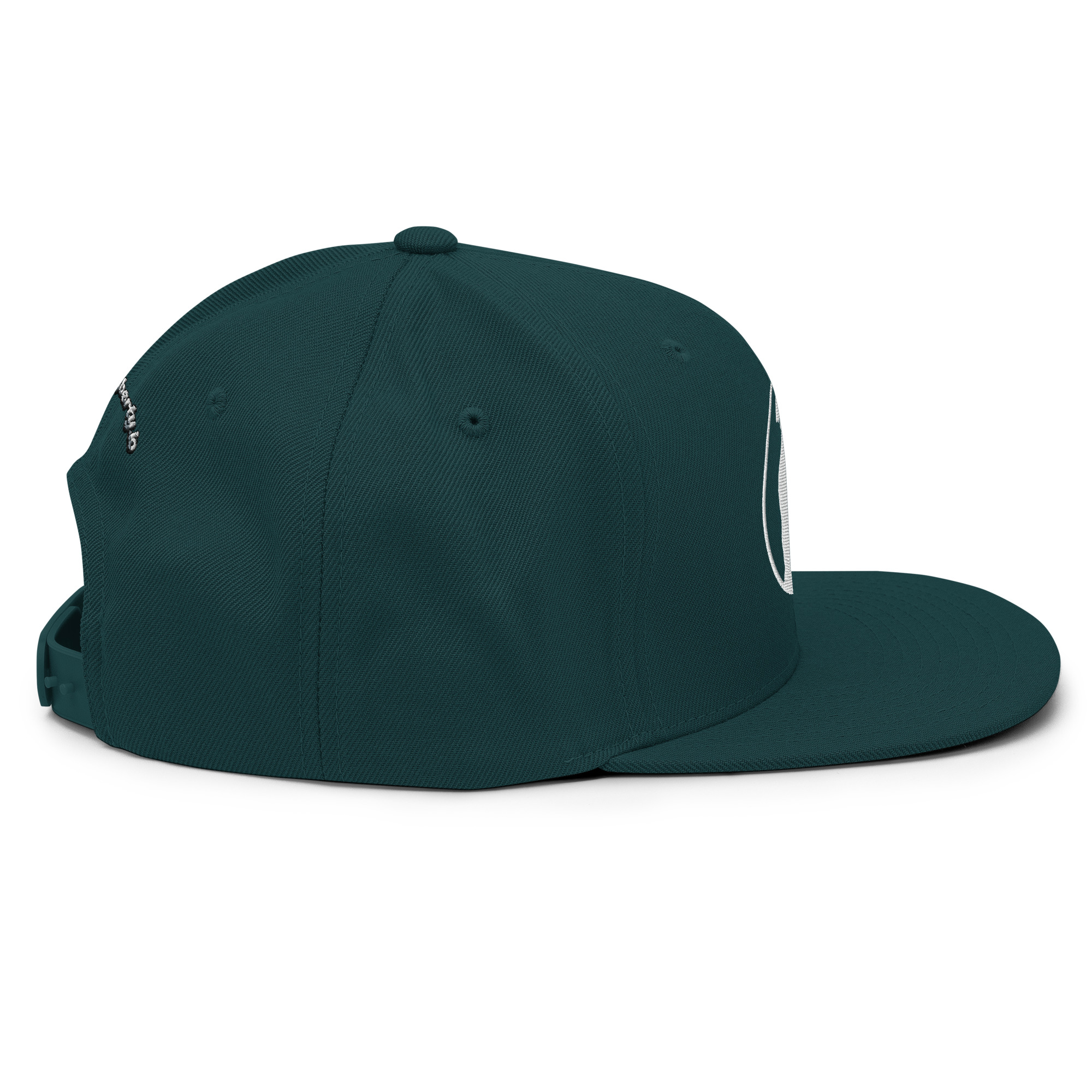 Snapback Hat - Image 68